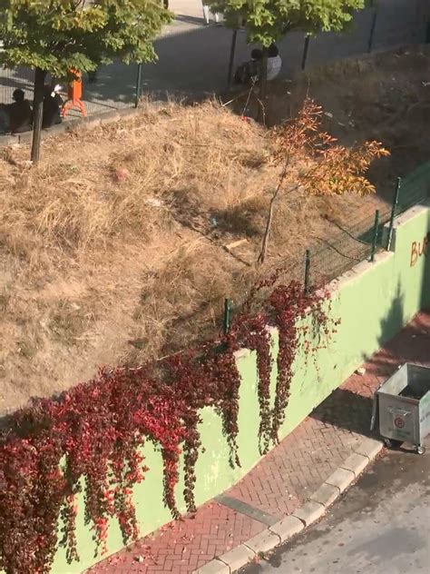 Image result for Vimeo One String