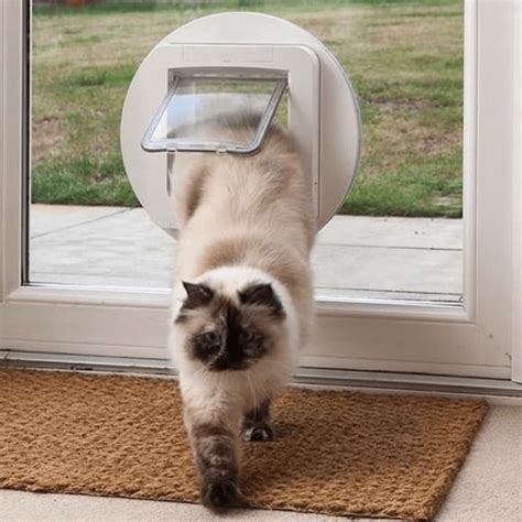 SureFlap & Sure Petcare NZ | Microchip Pet Doors & Feeders