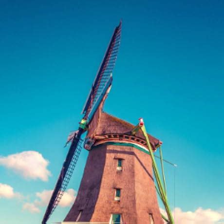 Meguiar's Wax Ultimate Compound 16 Oz,Black : Amazon.in: Car & Motorbike