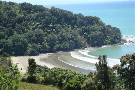 White Island: A Handy Guide For Your Next Vacation In 2025