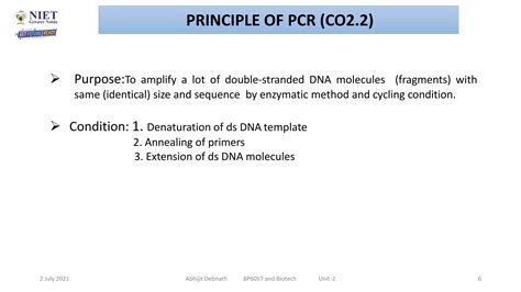 Image result for PCR Introduction