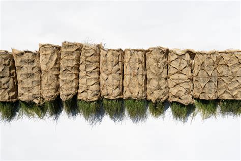 Natural Textiles 的图像结果