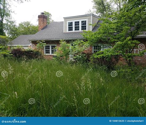 Abandoned House or Ruins with Tall Grass Stock Image - Image of plants ...