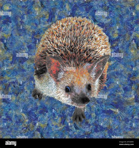 Digitally enhanced image of a long-eared hedgehog (Hemiechinus auritus ...