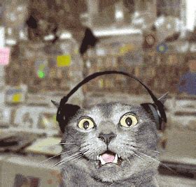 Image result for Cat Generator Control Module