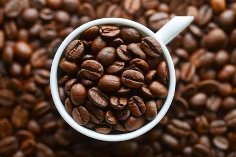 为什么喝咖啡的人越来越多？因为它的功效实在太多了__凤凰网