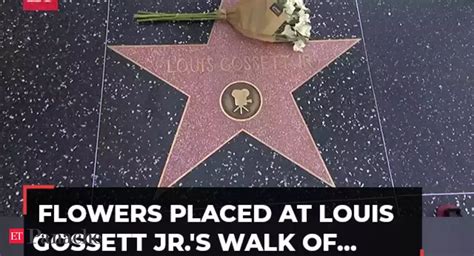 Watch: Flowers placed at Louis Gossett Jr.'s Walk of Fame Star - The ...