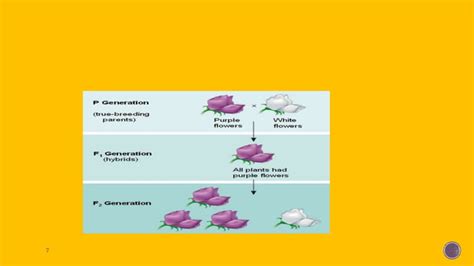 Image result for Difference Between Genetics or Inheritance