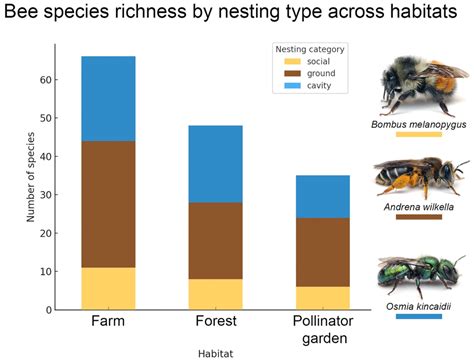 Bee Diversity Across Forest and Farm Habitats on Organic Tree Farms in ...