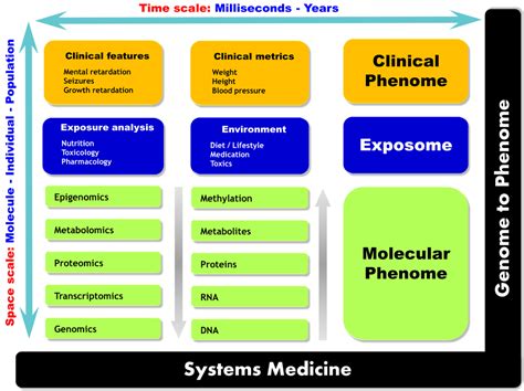 Omics-Based Strategies in Precision Medicine: Toward a Paradigm Shift ...