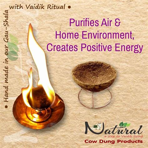 Natural Cow Dung Products