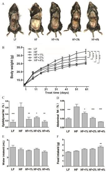 The Role of Green Tea on the Regulation of Gut Microbes and Prevention ...