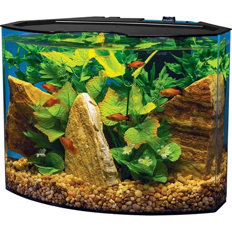 Best Bow Front Aquarium of 2022