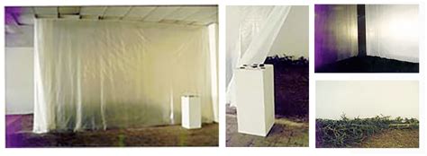 Memory Box Tutorial 的图像结果