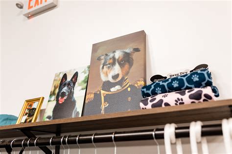 Two Shepherds Taproom - Tampa's Largest Dog Park and Bar - Travel Pockets