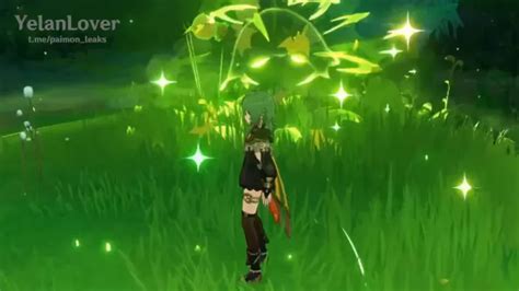 Genshin Impact 3.0 Leak: Collei Skill, Burst, Ascension Materials, And ...