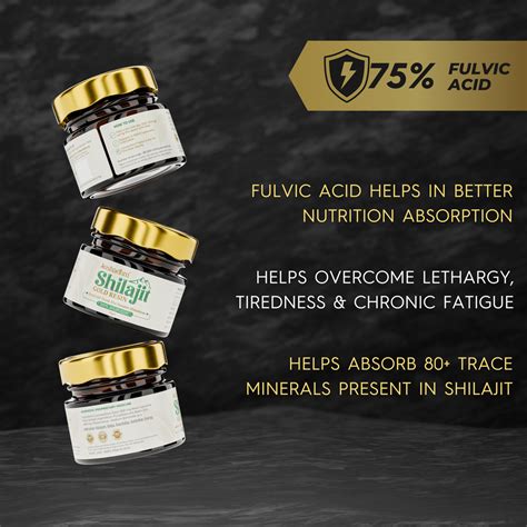 Himalayan Shilajit Pure Resin - 17 Gms | Boosts Performance, Strength ...