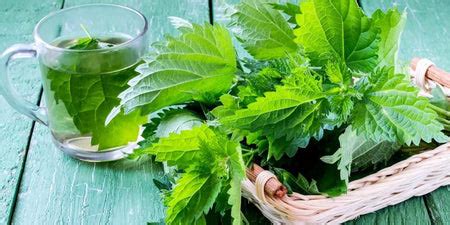 Irregular Periods? Natural Ways to Regulate Menstrual Cycle – Blue Tea ...