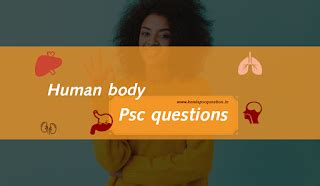 HUMAN BODY PSC QUESTIONS - മനുഷ്യ ശരീരം ചോദ്യോത്തരങ്ങൾ