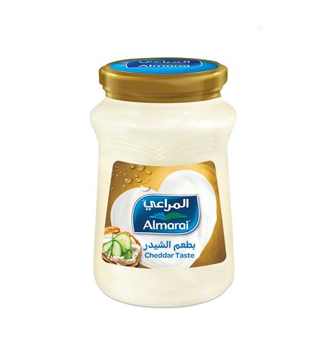 Almarai Spreadable Cheddar Cheese Spread 500g | Desertcart INDIA