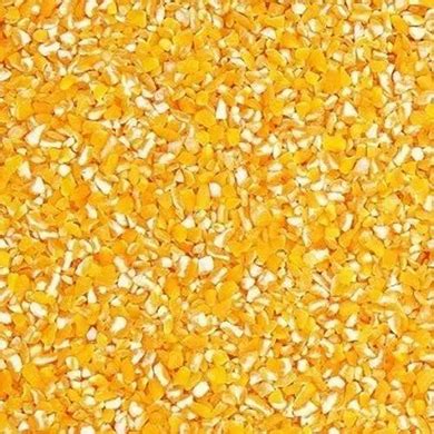 Anant Agro Industries