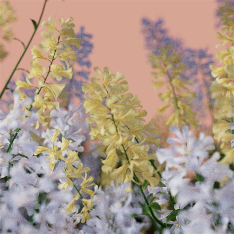 Image result for Spitfire Model Sound