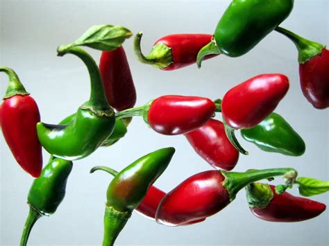 Why Are My Jalapenos Turning Red?