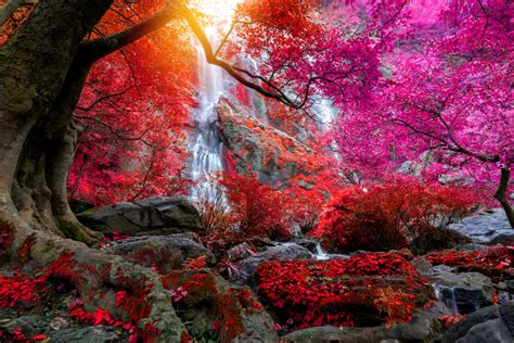 Beautiful Waterfalls Sticker – Myindianthings