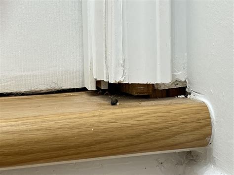 Gaps between door casing and floor : r/Construction
