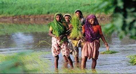 Bihar Institute of Economics Studies (BIES)