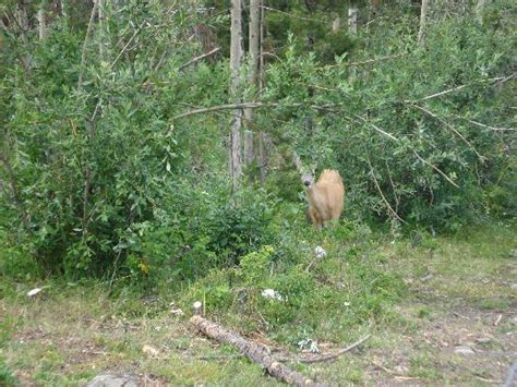 THE BEST Places to Visit in Lone Butte (2025) - Must-See Attractions