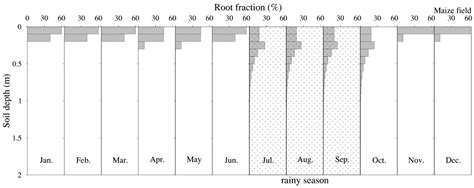 Rooting Depth and Extreme Precipitation Regulate Groundwater Recharge ...