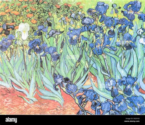 Irises by Vincent van Gogh 1890 Stock Photo - Alamy