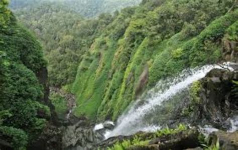 Onake Abbi Falls, udupi, India - Top Attractions, Things to Do ...