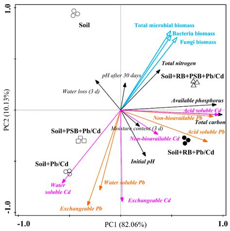 Combination of Biochar and Phosphorus Solubilizing Bacteria to Improve ...