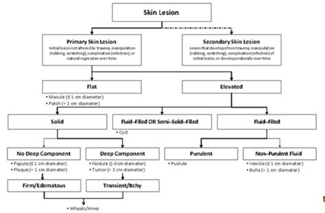 Image result for Rash Algorithm