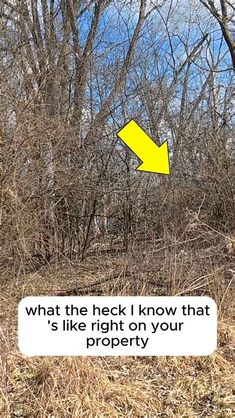 Outdoors with Erik (@outdoorswitherik) • Instagram photos and videos