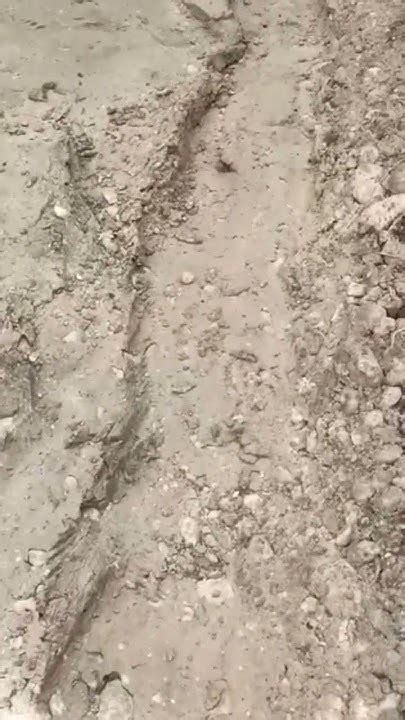 Cuarto Compactadora 的图像结果