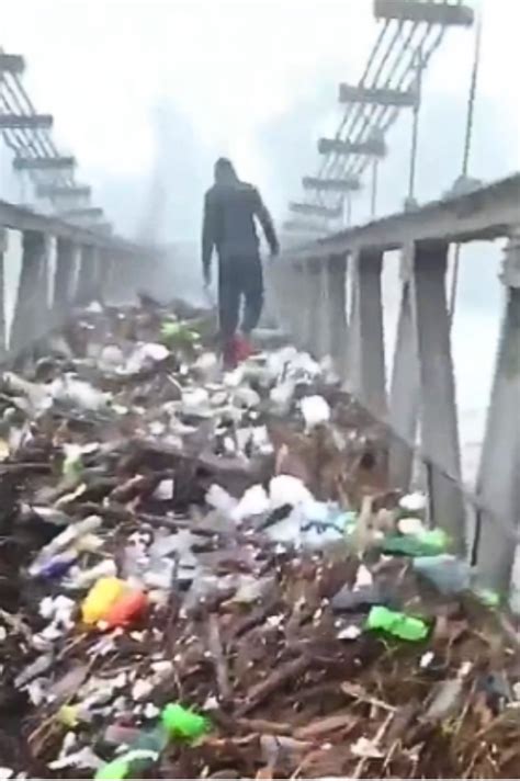 Trending and viral stories on environment