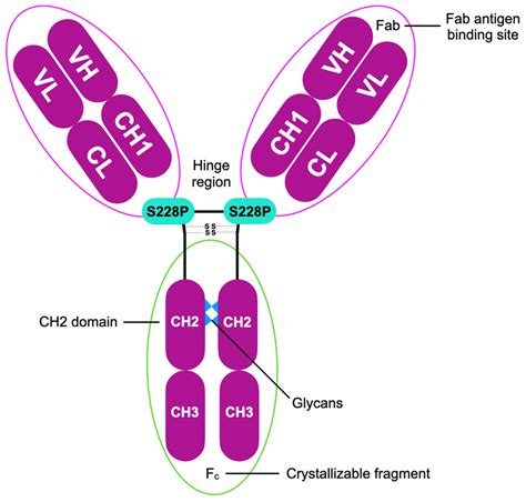Comparative Mechanistic Insights and Therapeutic Potential of ...