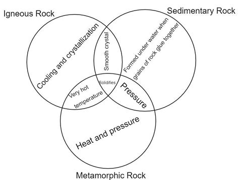 fill in the venn diagram to determine the similarities and differences ...