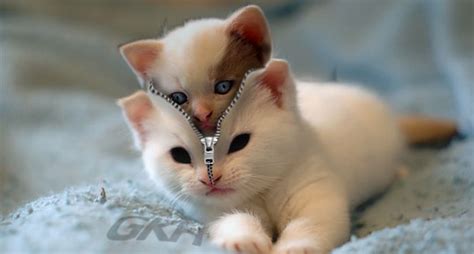 Image result for GIMP TJ Free Tutorials