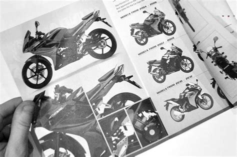 Image result for Beginners Guide to InDesign