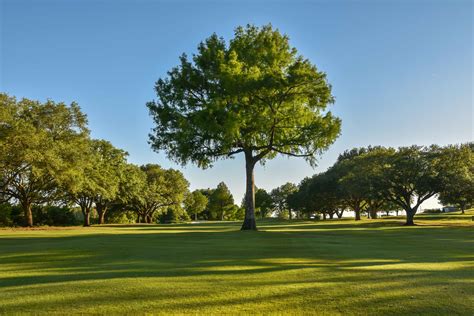 Oakbourne Country Club — PJKoenig Golf Photography