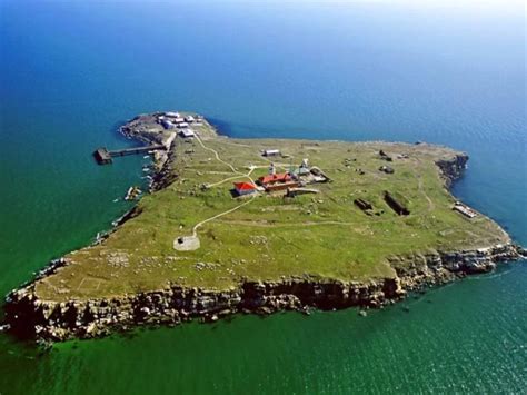 Snake Island: అది పాముల ప్రపంచం.. పక్షులను కూడా ఎగిరి కాటేస్తాయి ...