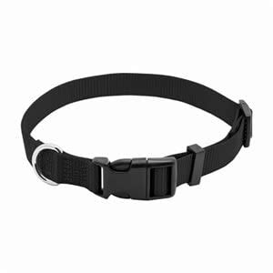 Buy (1.6cm x 25cm - 41cm , Black) - WESTMINSTER PET PRODUCTS 31838TV ...