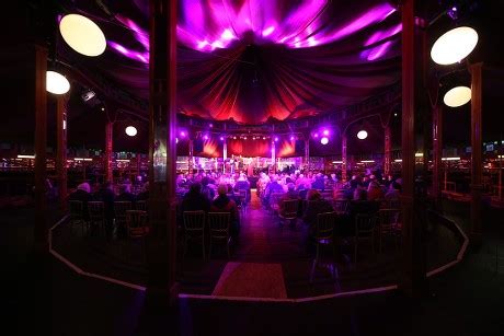 Image result for Robyn Stapleton Live