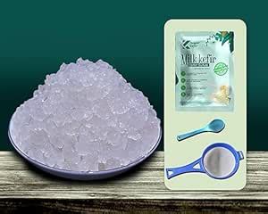 Feelgood Kefir Live Large Sized Water Kefir Grains (40 Grams) | Large ...