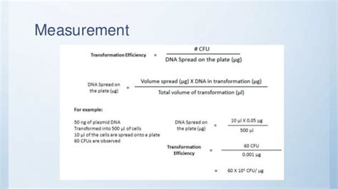 Image result for Transformation Efficiency Formula