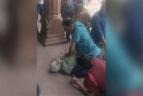 VIDEO: ताजमहल का दीदार करने गए बुजुर्ग को आया हार्ट अटैक, बेटे ने CPR ...